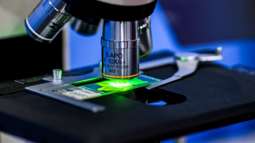    Lantyukhov Sergey/news.ru/Globallookpress