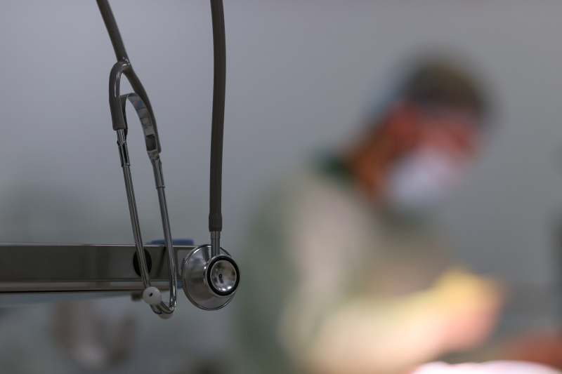    ФОТО: Belkin Alexey/news.ru/Globallookpress