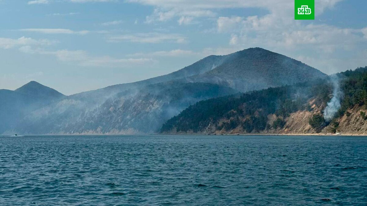    Фото: соцсети