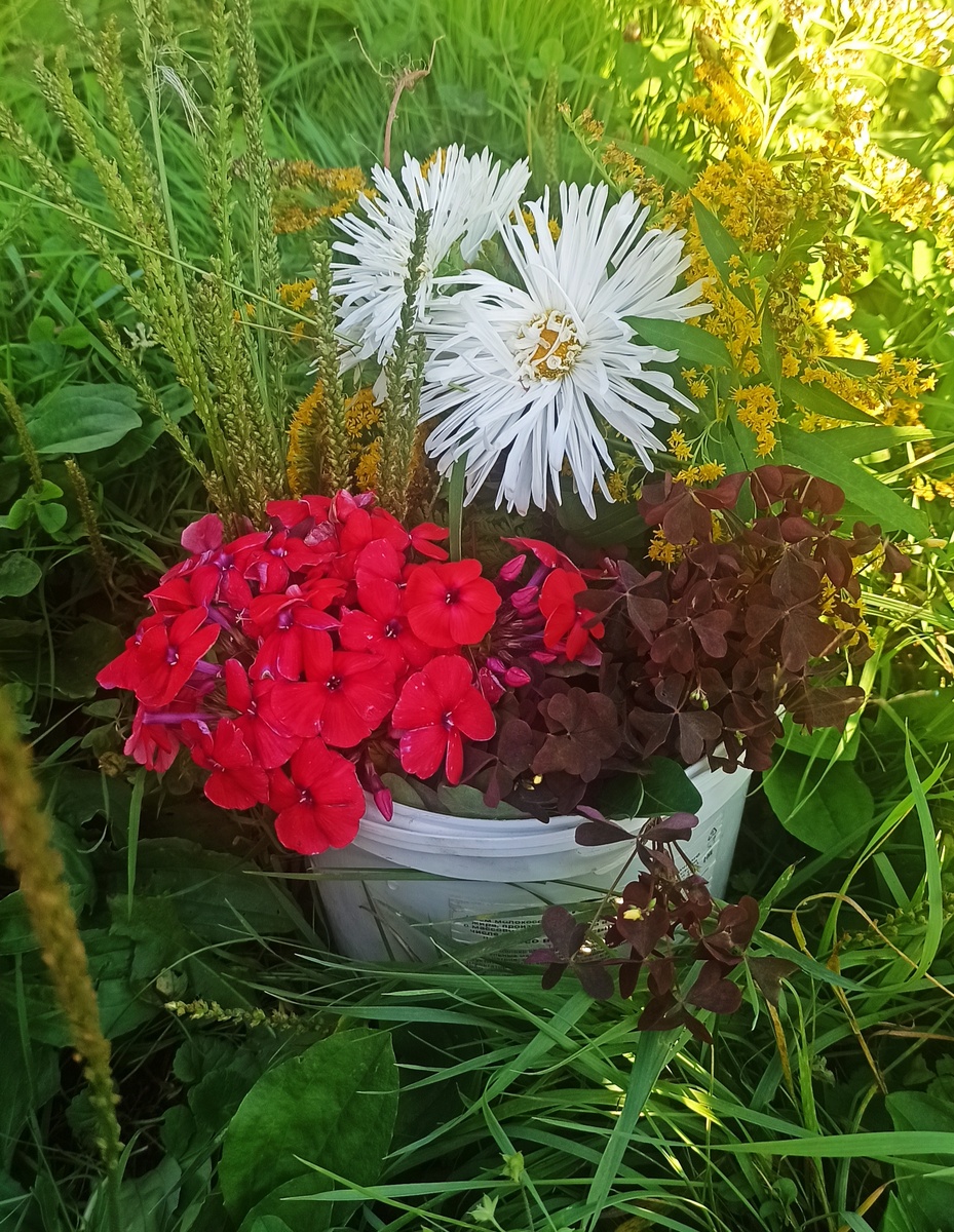 Личные фото