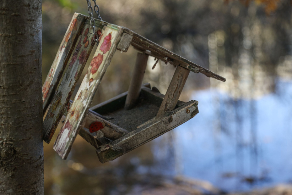    Сергей Булкин/NEWS.ru