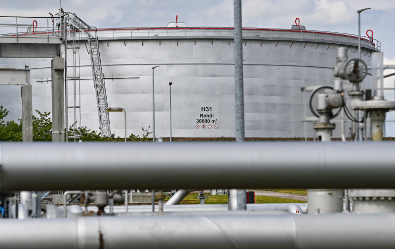    Фото: Patrick Pleul/Globallookpress