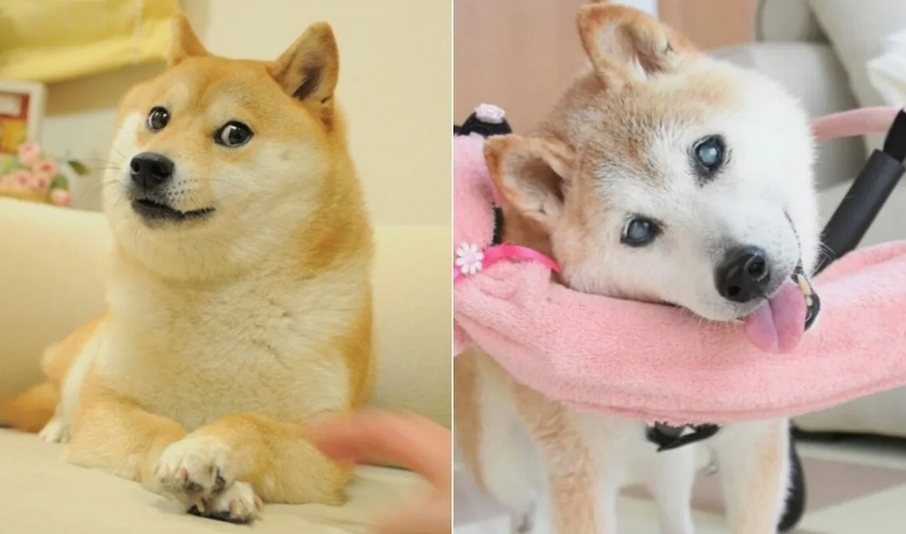 Создать карусель