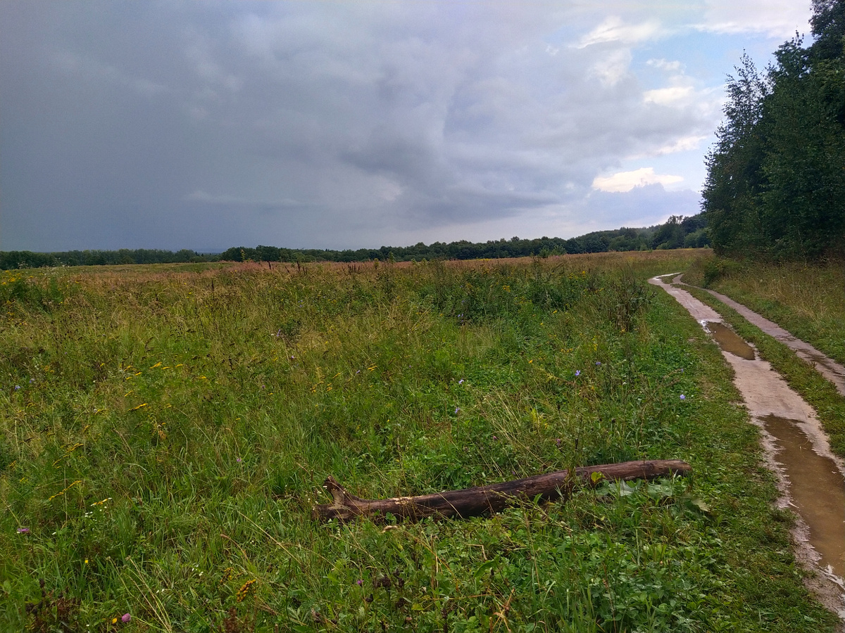 Личное фото