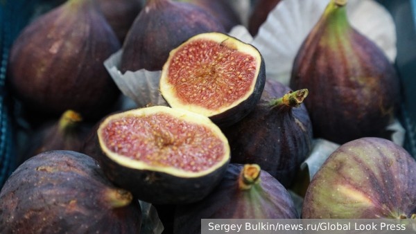     Фото: Sergey Bulkin/news.ru/Global Look Press    
 Текст: Ирма Каплан