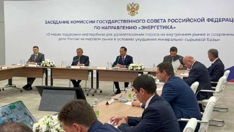Айсен Николаев провел в Казани заседание комиссии Госсовета по направлению «Энергетика» / Фото: пресс-служба правительства Якутии