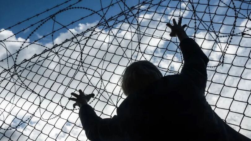    Фото: Michael Wick/Shutterstock/Fotodom