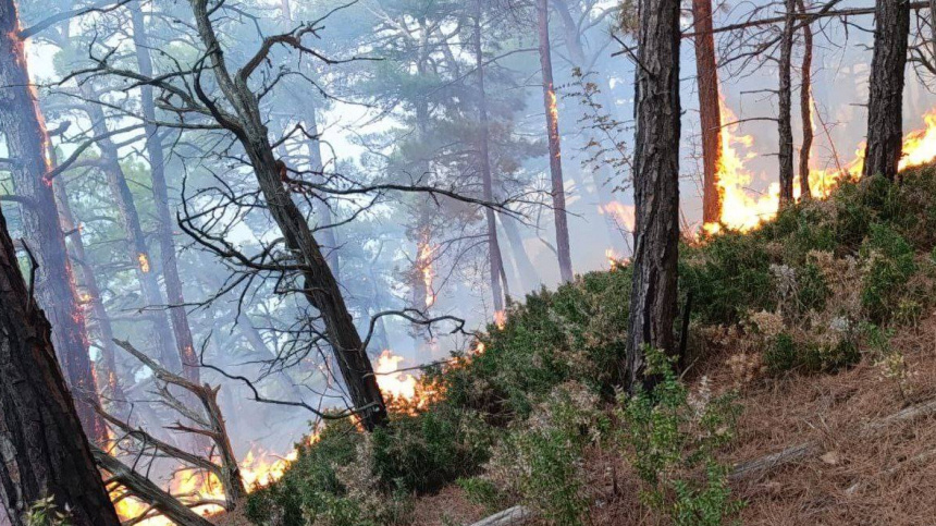    Фото: Оперативный штаб - Краснодарский край; 5-tv.ru