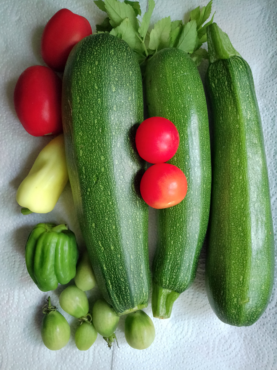 Фото автора. Весь урожай не снять. Да и были другие фотки в статьях