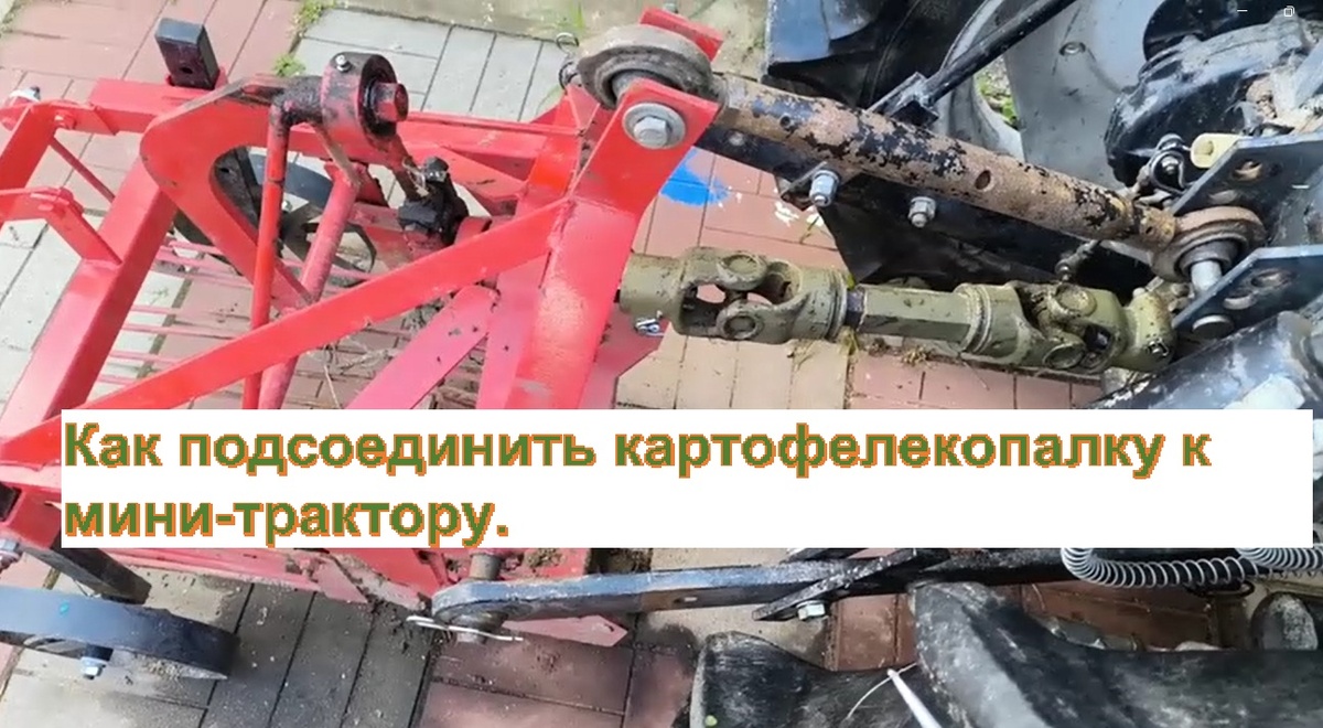 фото из личного архива