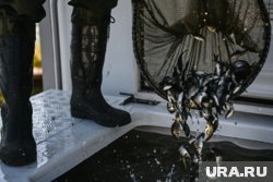     На предприятии работает порядка 150 человек (архивное фото) Владимир Жабриков © URA.RU