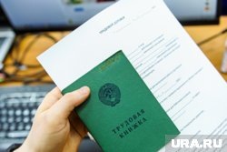     Как сообщила Ирина, работодатель нарушал трудовое законодательство (архивное фото) Вадим Ахметов © URA.RU