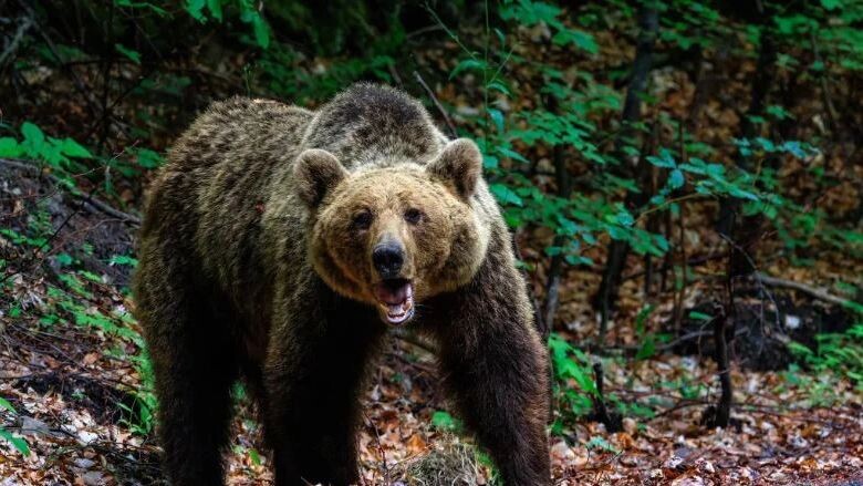    Фото: gigello/Shutterstock/Fotodom