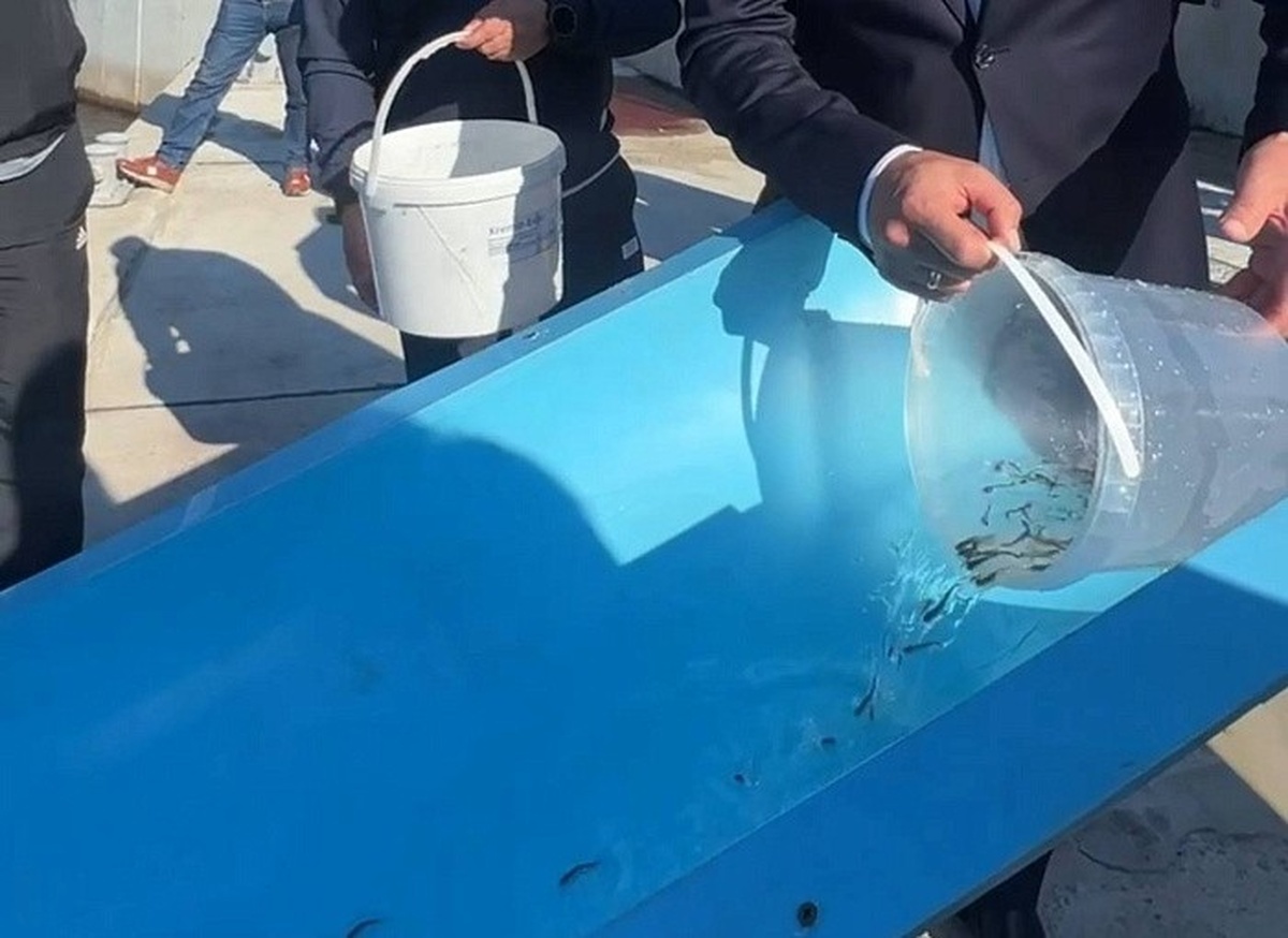    Фото: скриншот видео, источник: межрегиональное управление ведомства по Иркутской области и Бурятии.