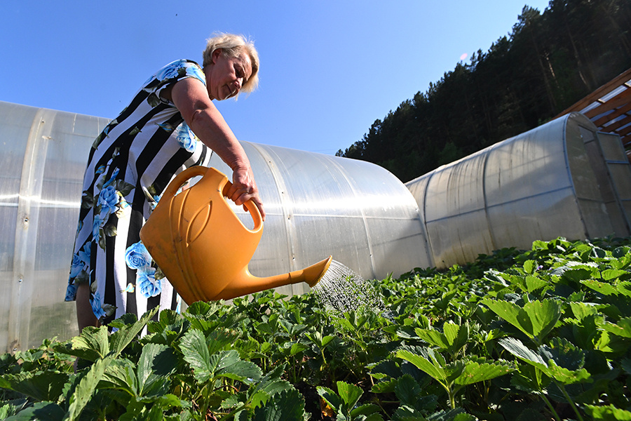    © Илья Наймушин/РИА Новости