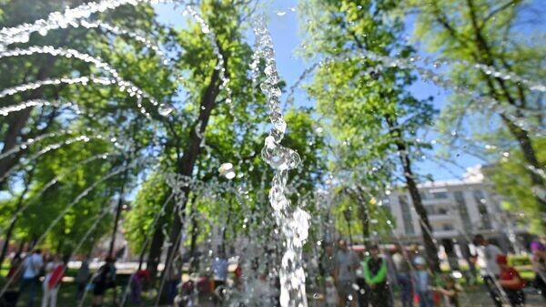    © Sputnik / Мария Амелина