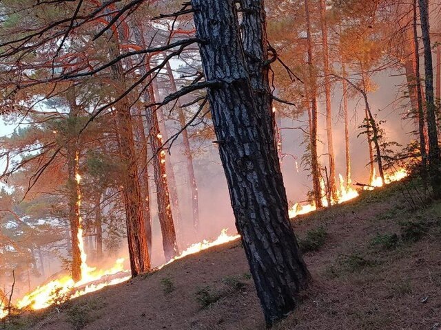    Фото: телеграм-канал "Оперативный штаб – Краснодарский край"