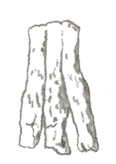 Собственно вот зарисовка стопы авипа.