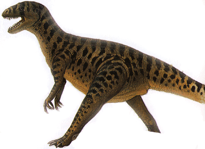 Занклодон, иллюстрация.