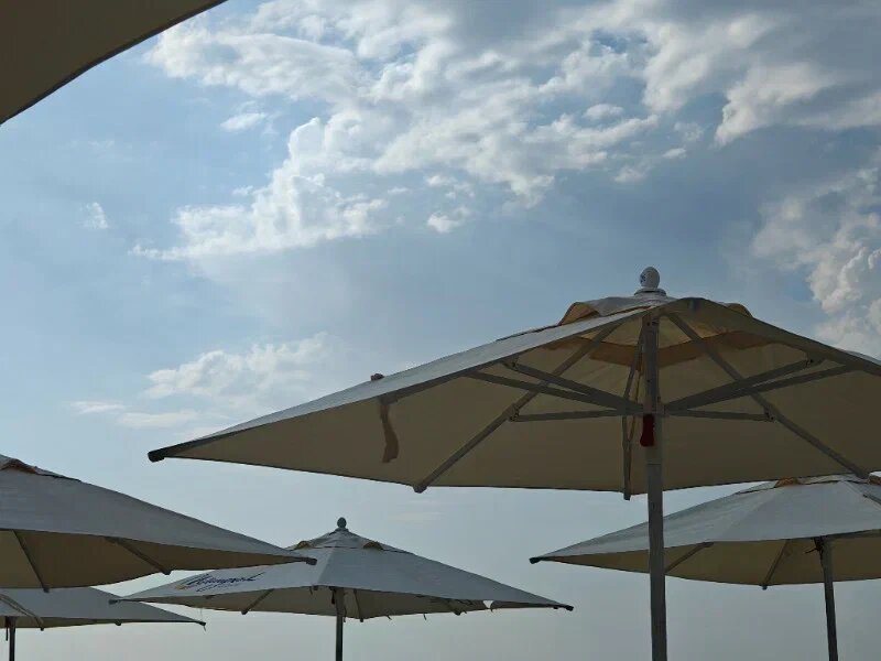    Фото: Юрий Серебренников/BFM Кубань