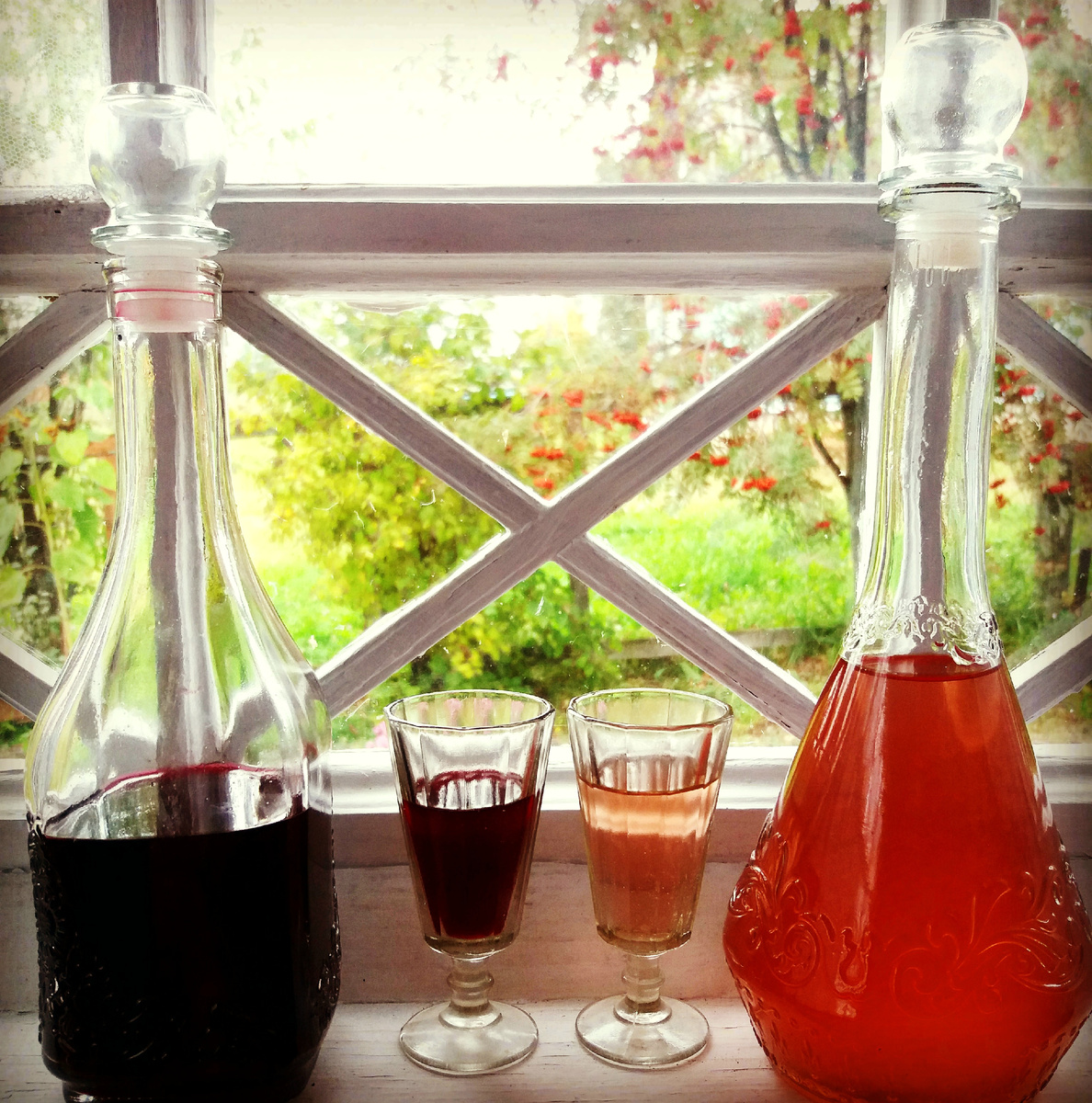 Фото автора.