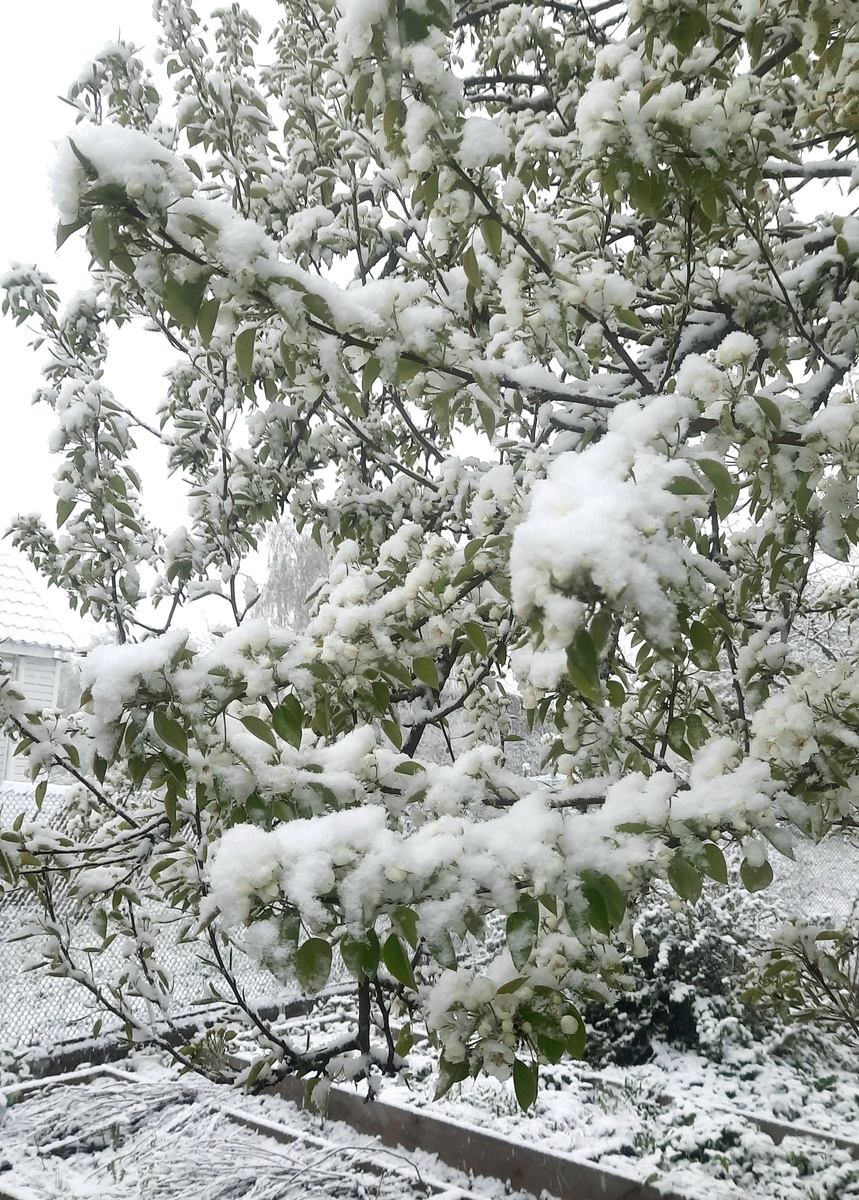 Фото автора.