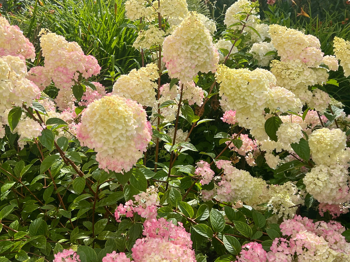 Все фото в статье авторские 