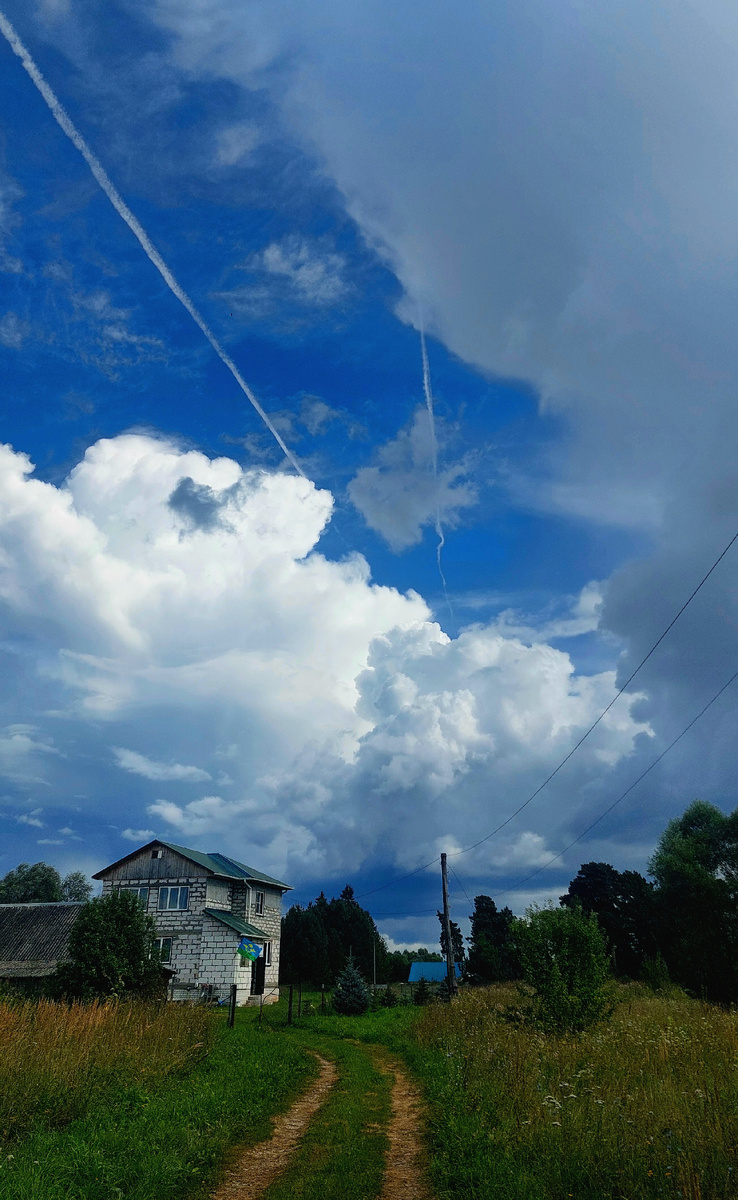 Облака спускаются до самой земли, кажется, что до них можно дотянуться рукой