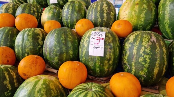    © Sputnik / Александр Жибуль