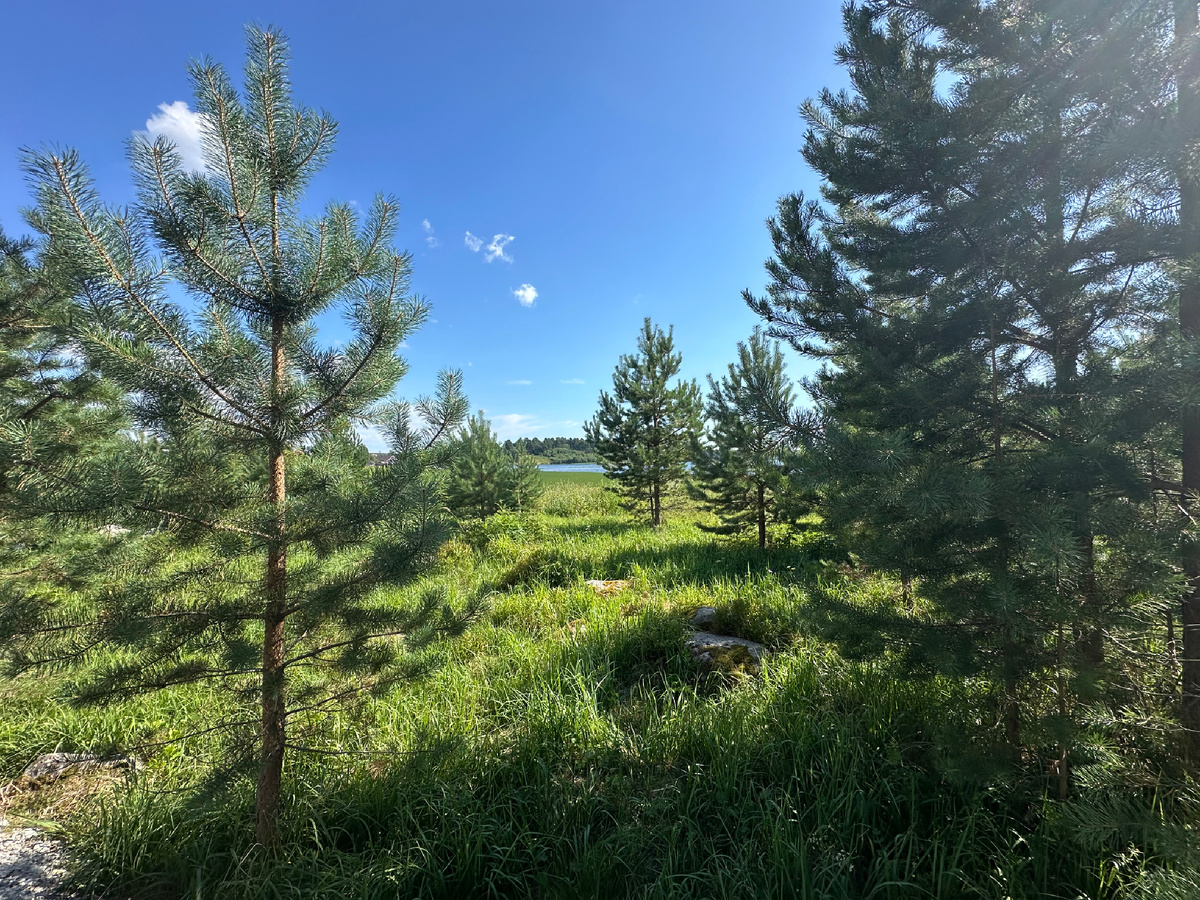 Вид на озеро