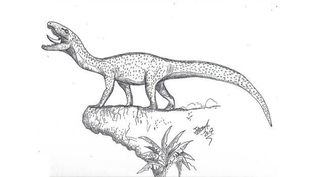 Так, возможно, выглядел инцертовенатор.