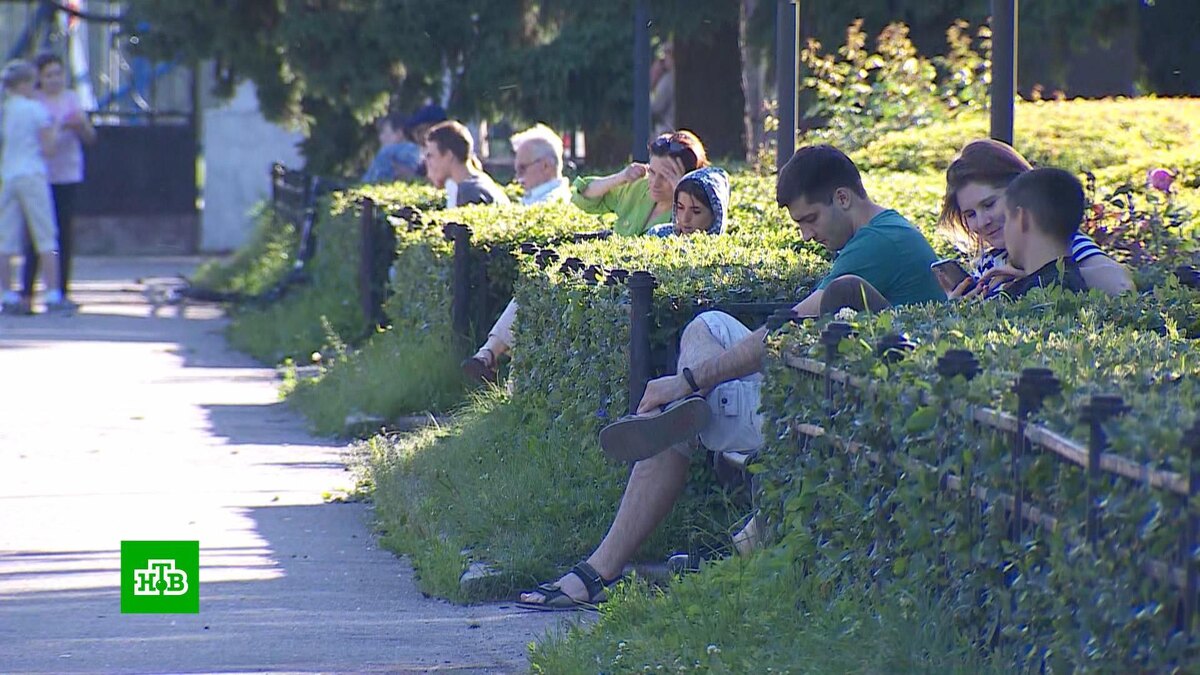    Жителям Центральной России пообещали знойную погоду