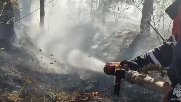    © ГУ МЧС России по Республике Крым