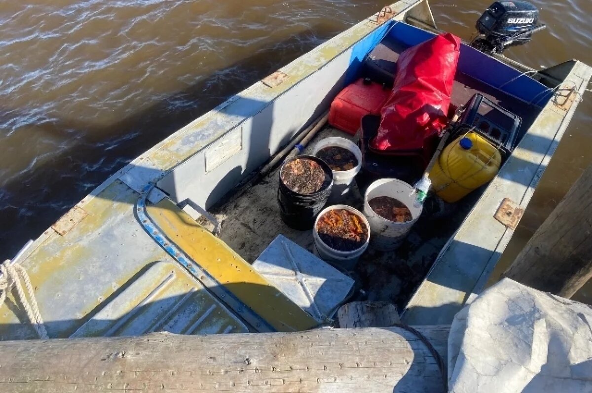   В Хабаровском крае задержали браконьеров с 88 кг икры осетровых