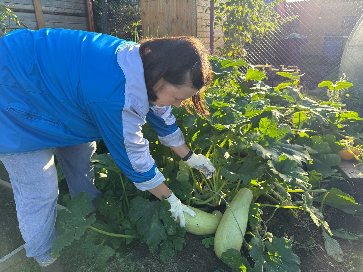    Даже старые, переросшие кабачки у меня не пропадают - готовлю из них такую вкуснятину, что пальчики оближешь
