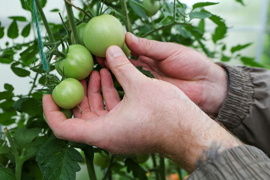    Алексей Белкин/NEWS.ru