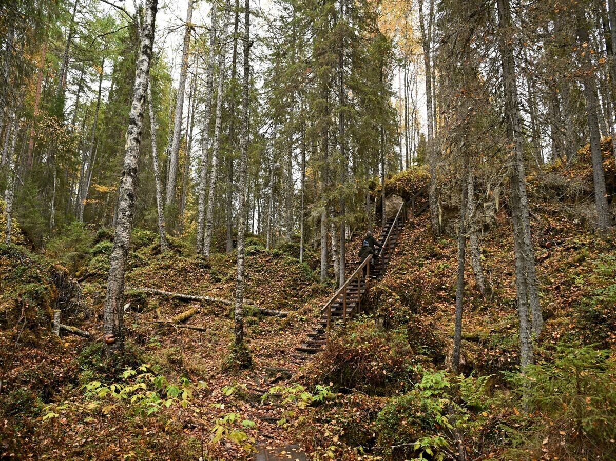    Пешеходная тропа в лесу в Пинежском районе Архангельской области© РИА Новости / Алексей Филиппов