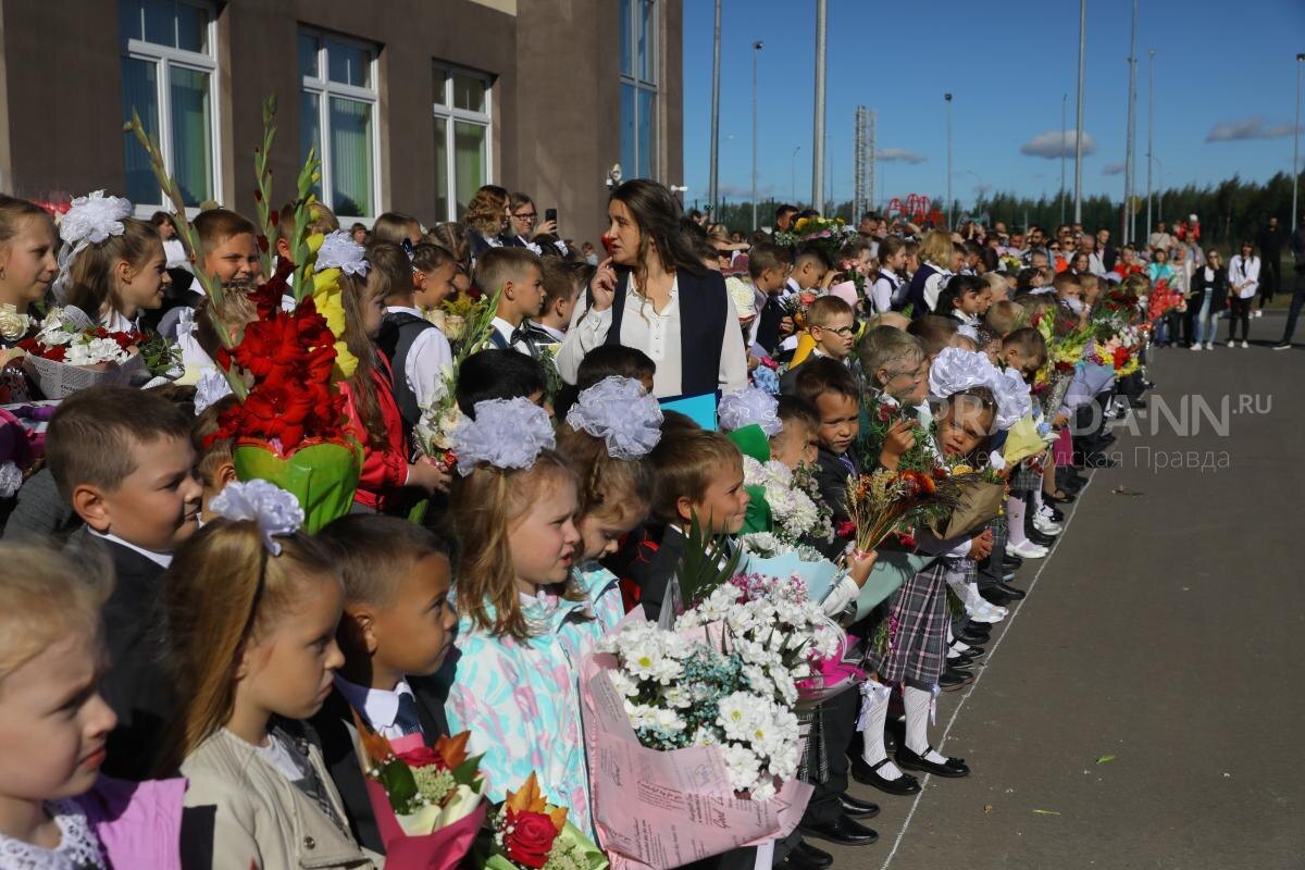    Важно выбрать не только красивые, но и стойкие цветы