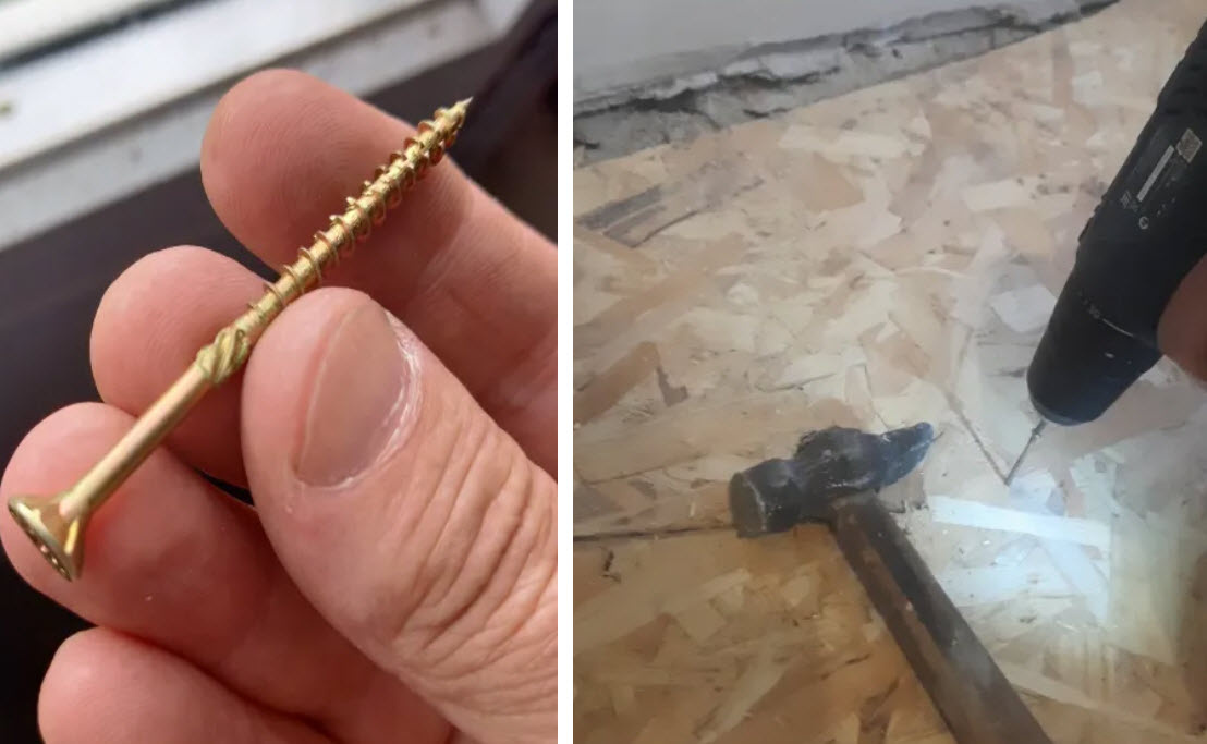 Фото: из открытых источников