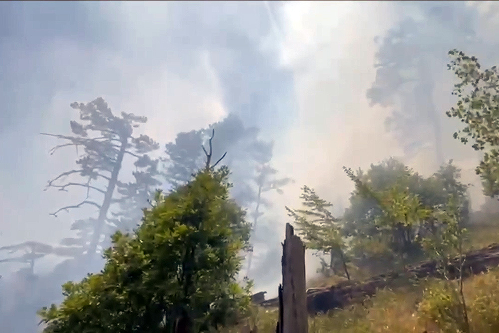    ©Пресс-центр Главного управления МЧС России