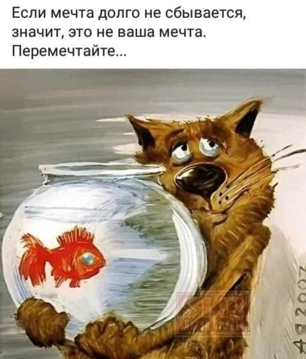Мечты сбываются и не сбываются...