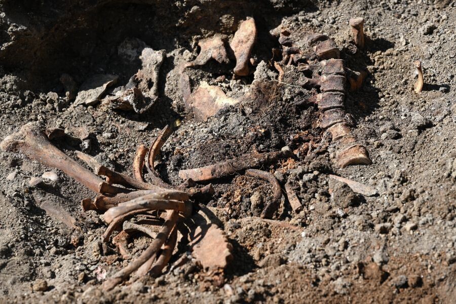     / Источник: © Константин Михальчевский/РИА Новости