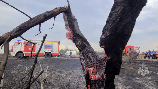    © ГУ МЧС России по Республике Крым