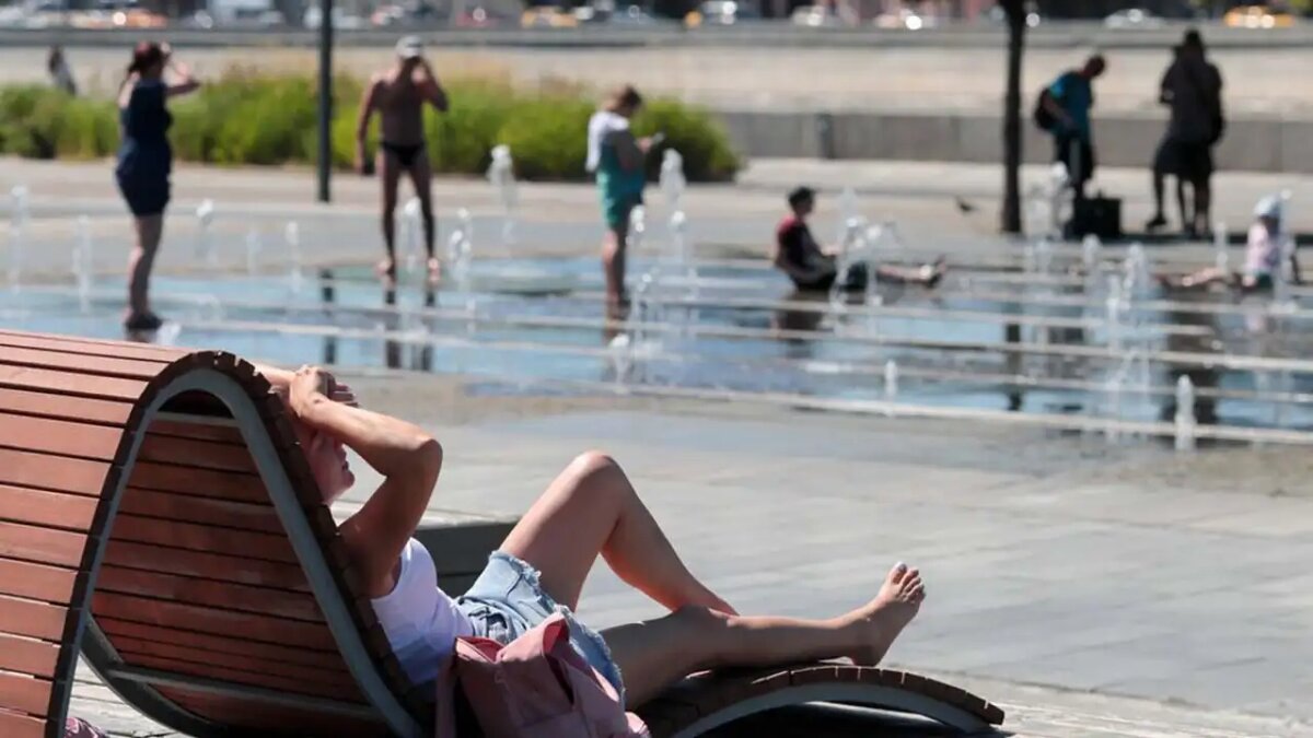     © АГН "Москва"