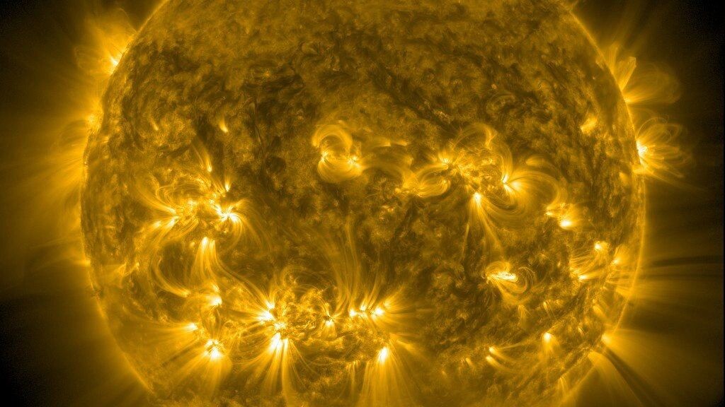    Фото: t.me/lpixras/