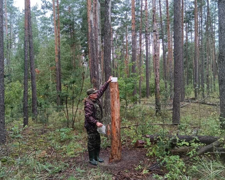     Минприроды Курской области провело более 100 рейдов по охране животного мира