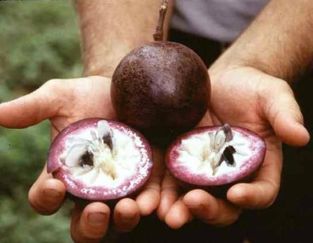 Кому кусочек лета?