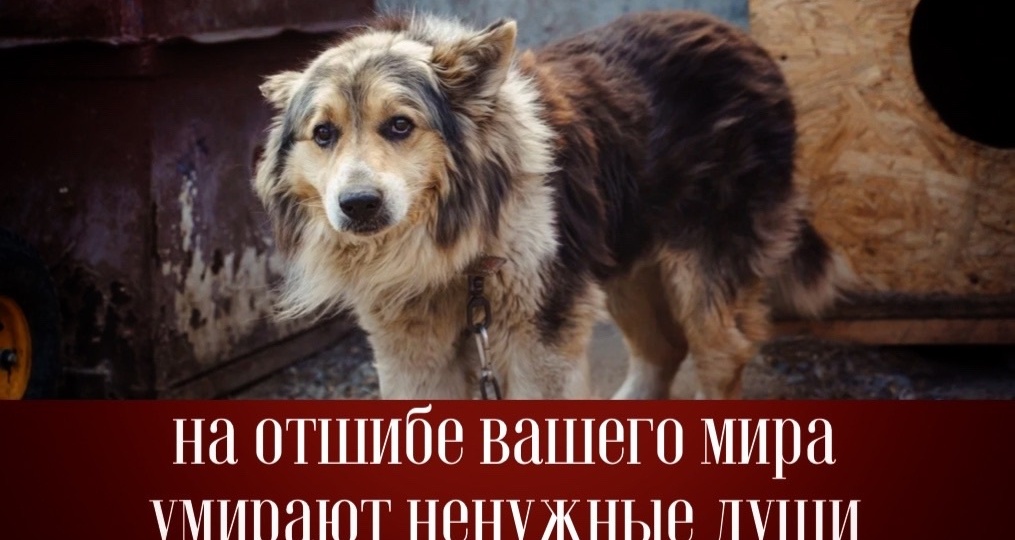 На отшибе вашего мира погибают ненужные души.