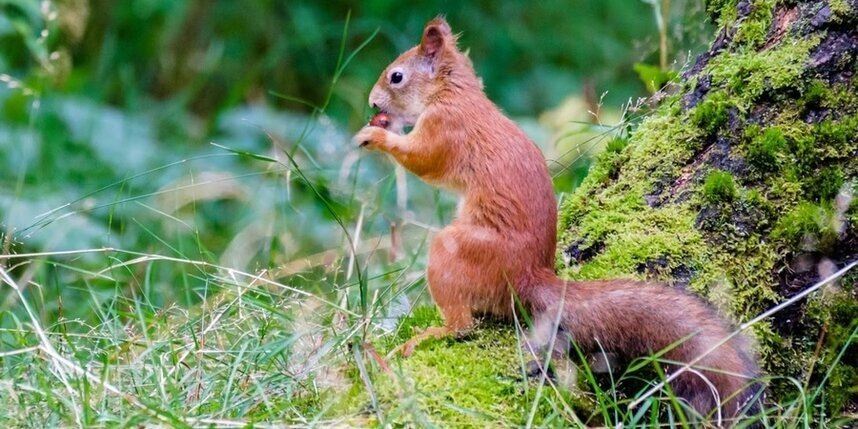    Алена Бобрович