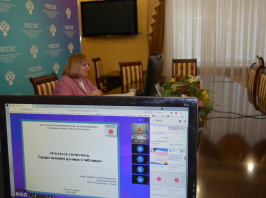    обучение статистике // фото: пресс-служба Ростовстат